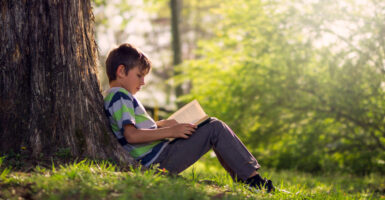 Boy sitting large tree reading.