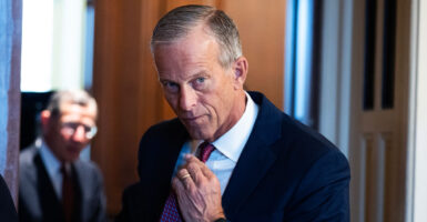 John Thune